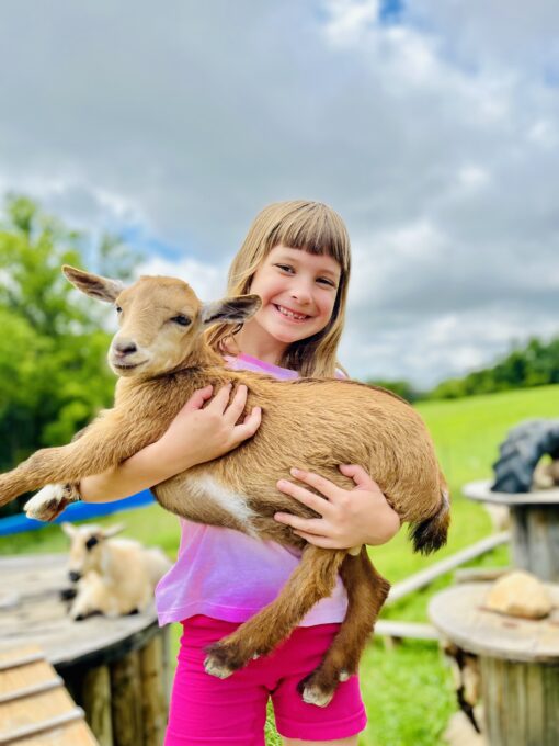 Baby Goat Camp- June 30th and July 1st - Image 8