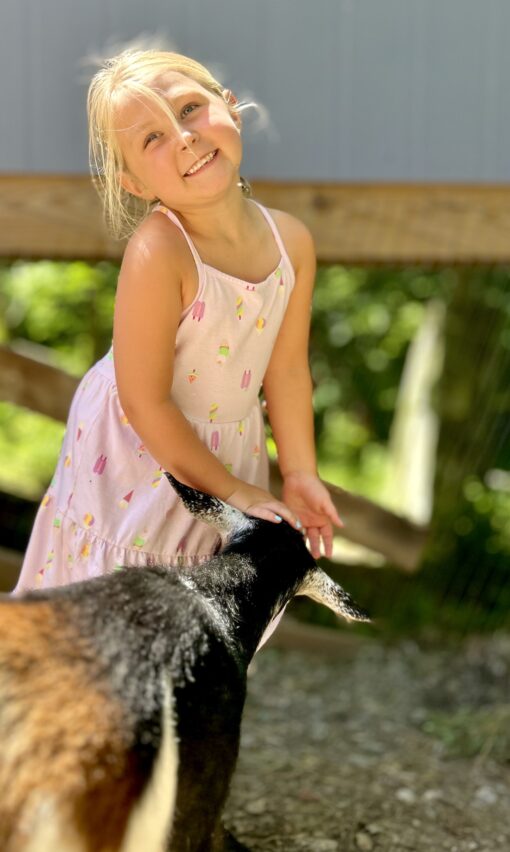 Baby Goat Camp- June 30th and July 1st - Image 7